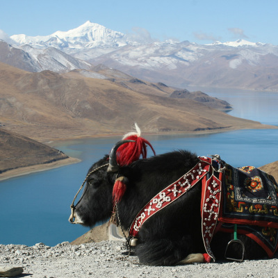 24-Tibet-diapo