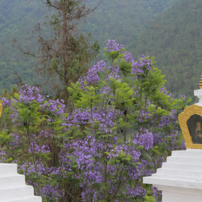 Bhutan-81